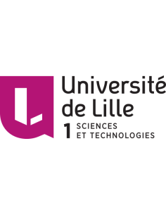 Sécurité, Veille Stratégique